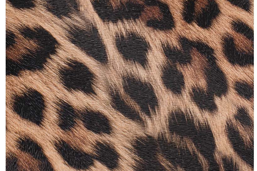 leopard makeup bag details4